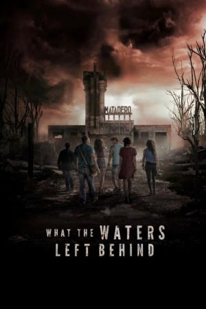 What the Waters Left Behind (2017) poster