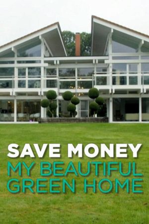 Save Money: My Beautiful Green Home (2021) poster