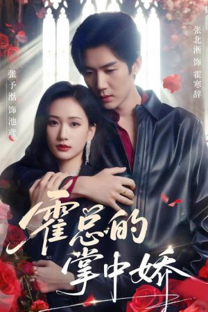 霍总的掌中娇 (2025) poster