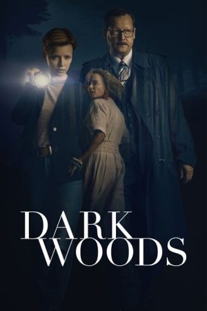 Dark Woods (2020) poster
