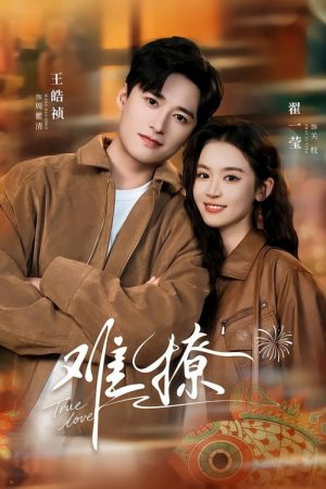 难撩 (2025) poster
