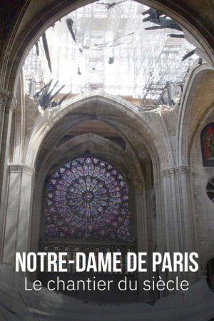 Notre-Dame de Paris, le chantier du siècle (2023) poster