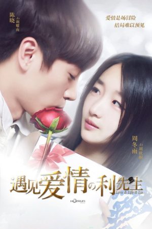 Love & Life & Lie (2017) poster
