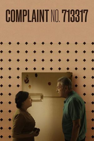 Complaint No. 713317 (2025) poster
