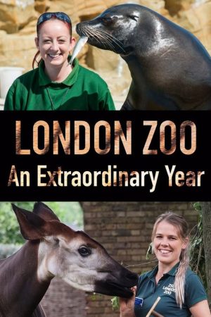 London Zoo: An Extraordinary Year (2020) poster