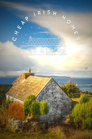 Cheap Irish Homes (2020) poster