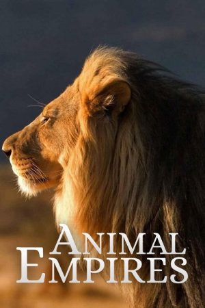 Animal Empires (2016) poster