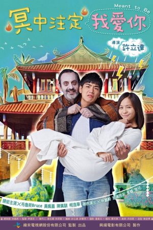 冥中注定我愛你 (2017) poster