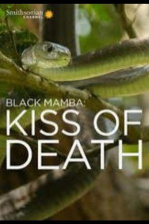 Black Mamba: Kiss Of Death (2017) poster