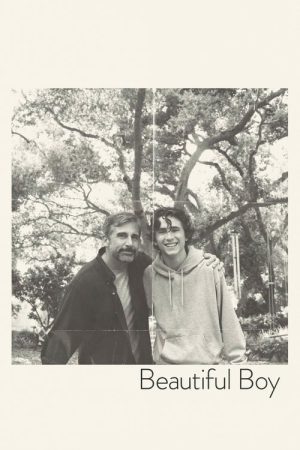 Beautiful Boy (2018) poster