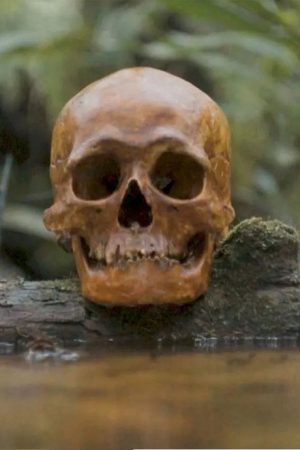 A Skull (2021) poster