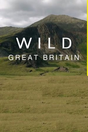 Wild Great Britain (2018) poster