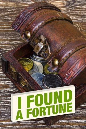 I Found a Fortune (2018) poster