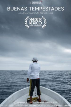 Good Storms (2022) poster