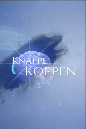 Knappe Koppen (2026) poster