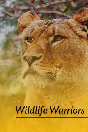 Wildlife Warriors (2018) poster
