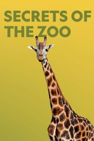 Secrets of the Zoo (2018) poster