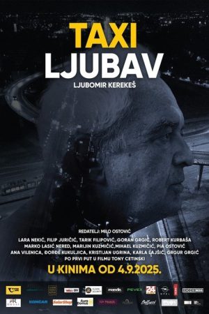 Taxi Love (2025) poster