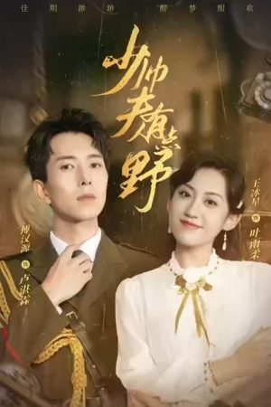 少帅夫人有点野 (2023) poster