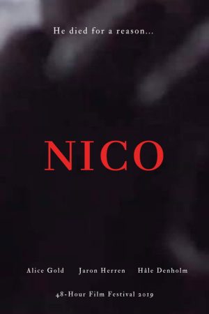 NICO (2019) poster