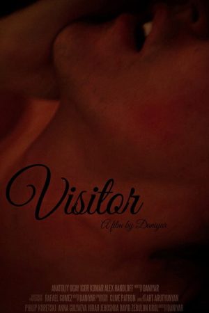 Visitor (2017) poster
