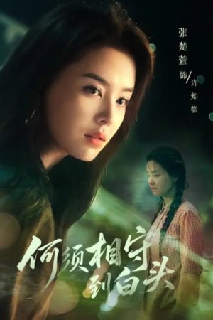 何须相守到白头 (2025) poster