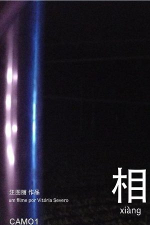 相 xiàng (2022) poster