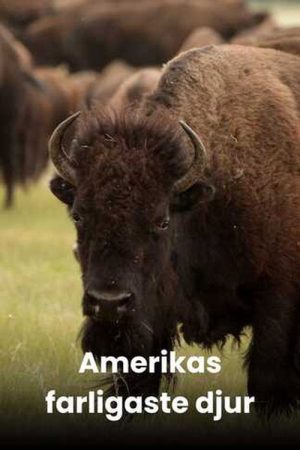America’s Deadliest (2026) poster