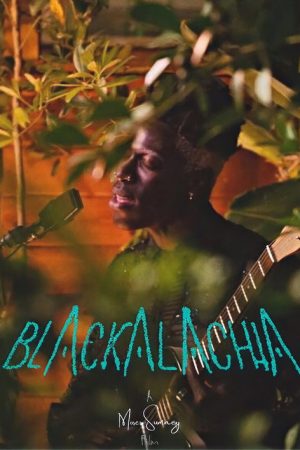 Blackalachia (2021) poster