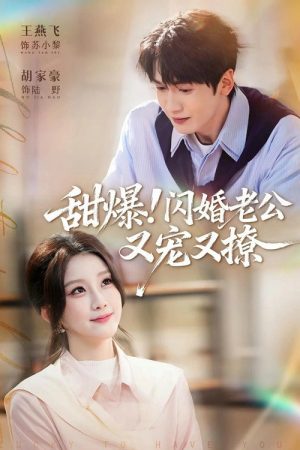 甜爆！闪婚老公又宠又撩 (2026) poster