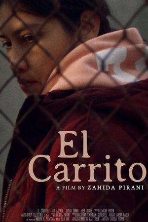 El Carrito (2021) poster
