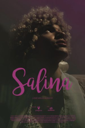 Salina (2020) poster
