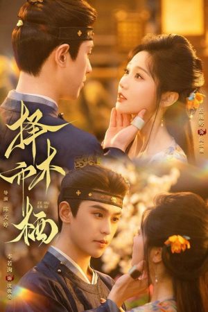 择木而栖 (2026) poster