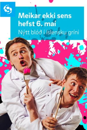 Meikar Ekki Sens (2020) poster