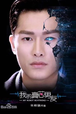 我的真芯男友 (2017) poster