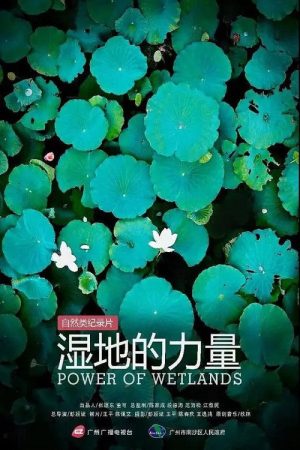 湿地的力量 (2019) poster