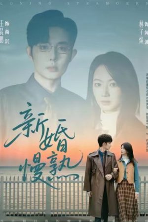 新婚慢熟 (2025) poster
