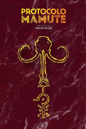 Men’s Only Privilege (2016) poster