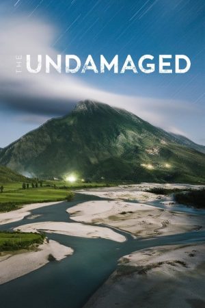 The Undamaged (2018) poster