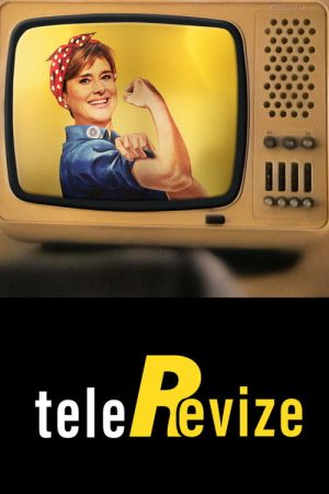 TeleRevize (2023) poster