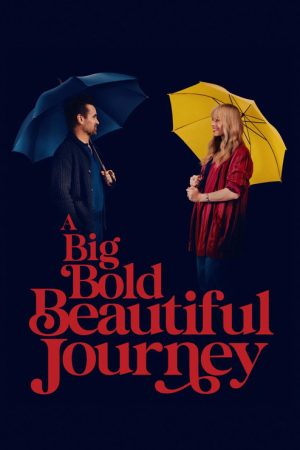 A Big Bold Beautiful Journey (2025) poster