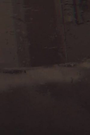 file_not_found (2024) poster