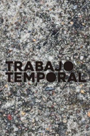 Trabajo Temporal (2016) poster