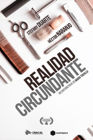 Surrounding Reality (2018) poster