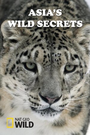 Asia’s Wild Secrets (2021) poster