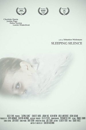 Sleeping Silence (2017) poster
