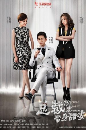 Double Sweet Wife (2017) poster