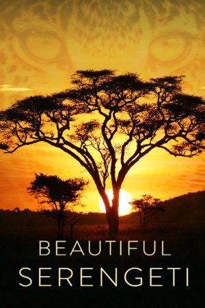 Beautiful Serengeti (2022) poster