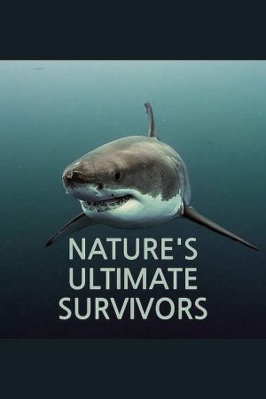 Nature’s Ultimate Survivors (2023) poster