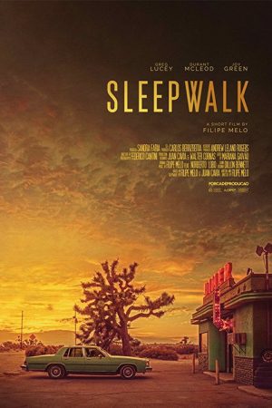 Sleepwalk (2018) poster